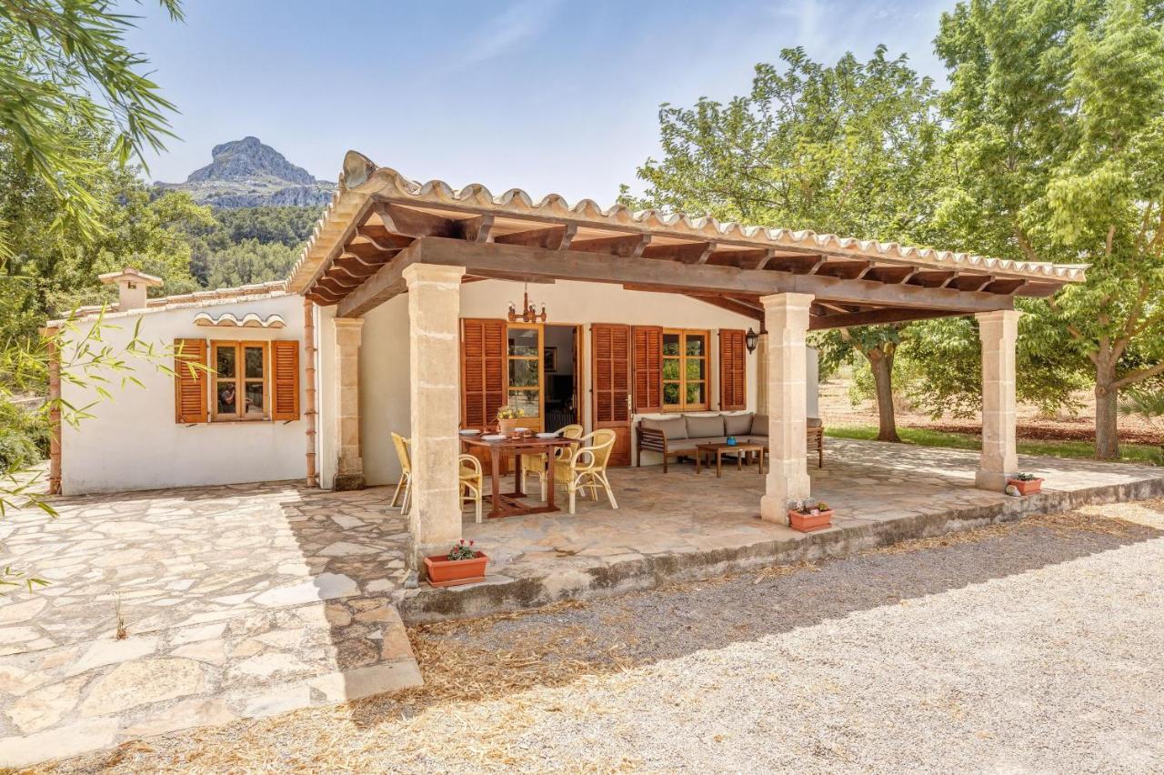 Finca L'Hort Nou بويينسا المظهر الخارجي الصورة