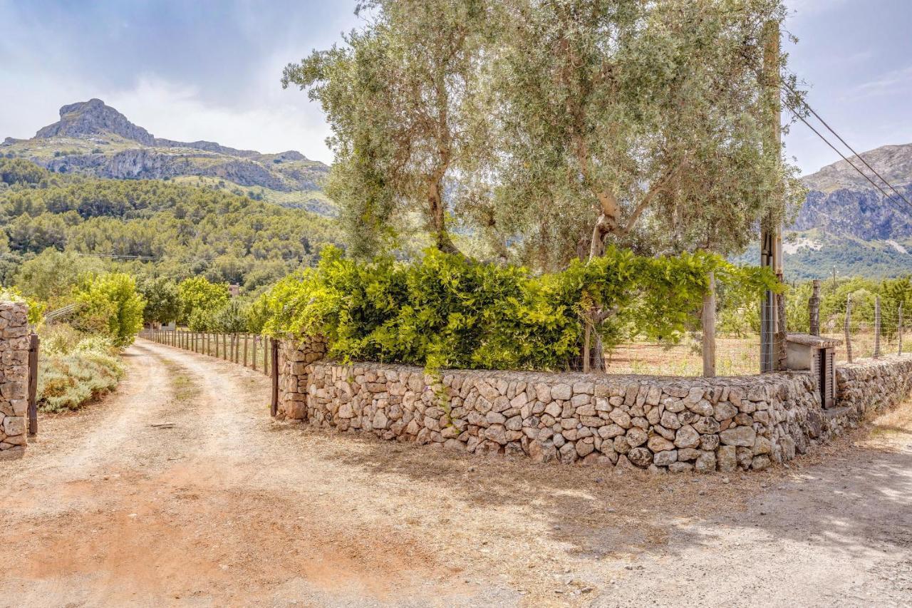 Finca L'Hort Nou بويينسا المظهر الخارجي الصورة